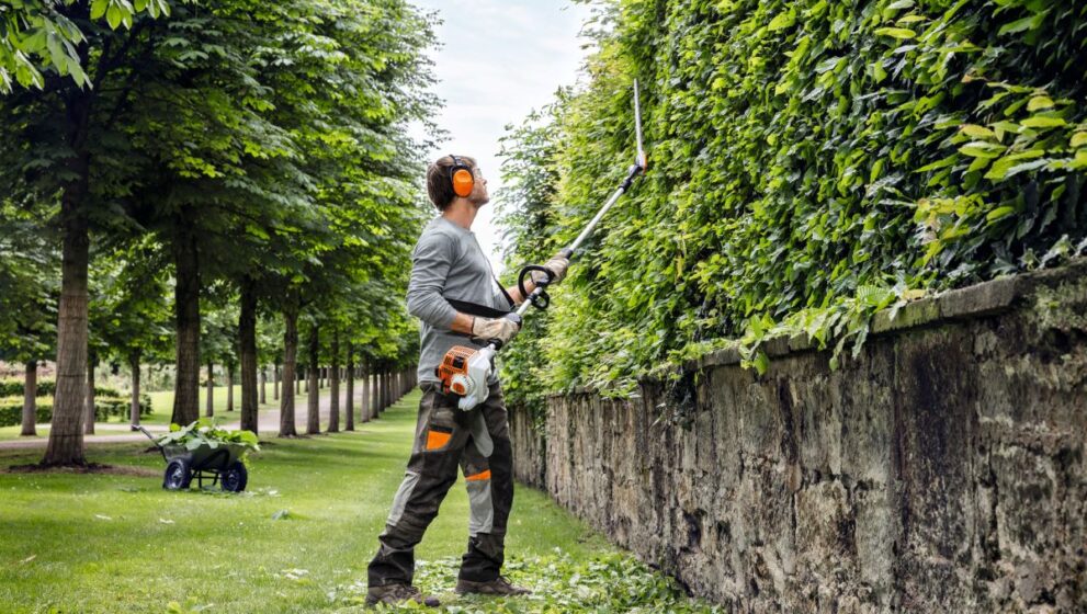 The Importance of Hedge Trimming for Your Garden’s Health