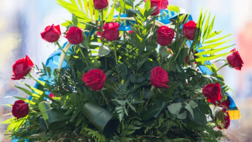 Top Flower Shops in McMahons Point for Gorgeous Arrangements