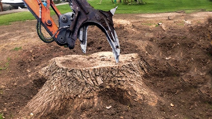 stump grinding cost