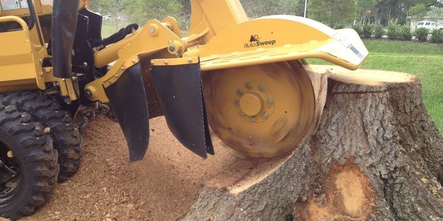 stump grinding cost