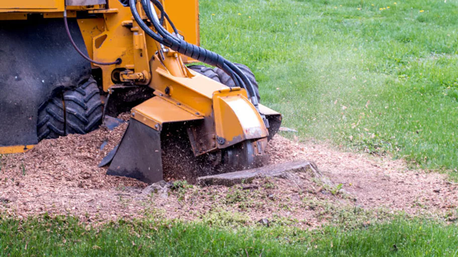 stump grinding cost